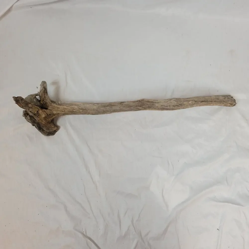 Ohio River Driftwood 37
